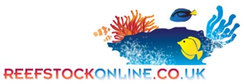 Reefstock Online